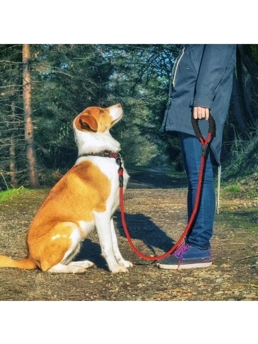 Medium Large Dog Reflective Dog Leash Orange & Black New Without‎ Tag